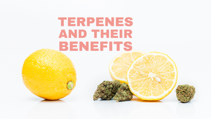 The Power of Terpenes: Function and Effects