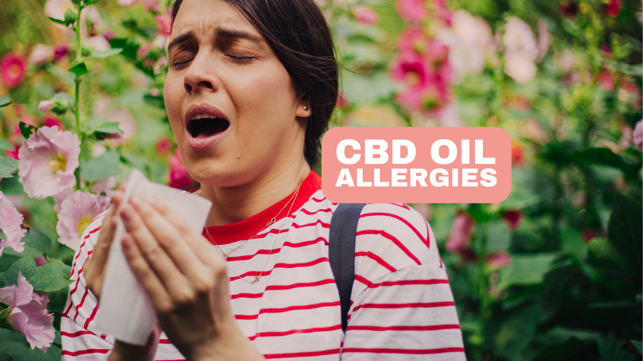 CBD olej na sennú nádchu môže pomôcť pri sezónnych alergiách