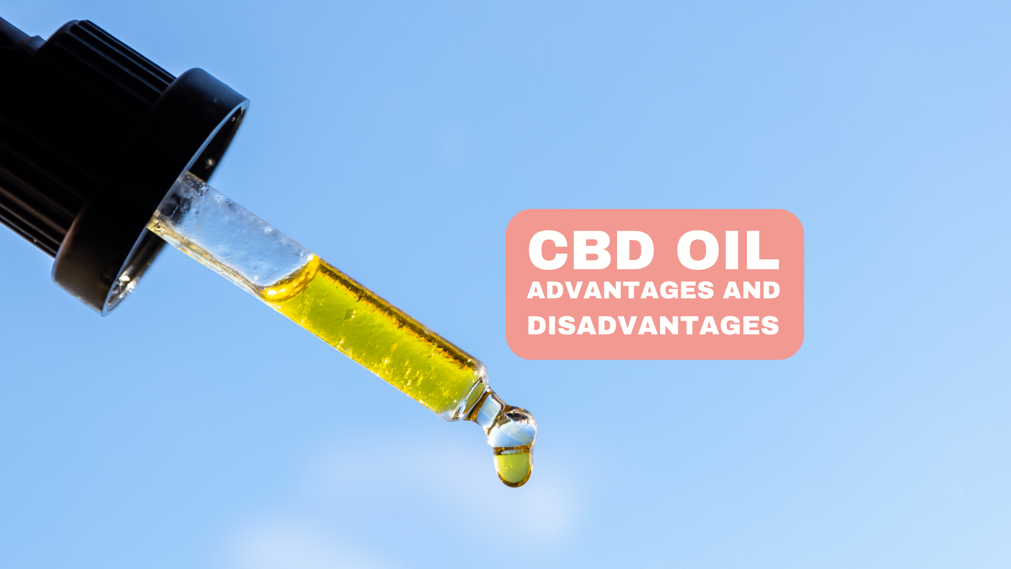 Cbd Oil Benefits And Disadvantages