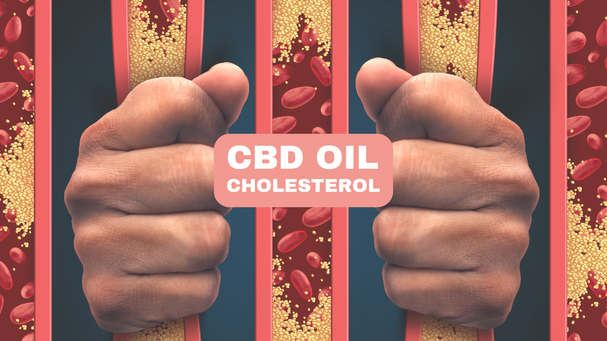 Can CBD Oil Help Lower Your Cholesterol