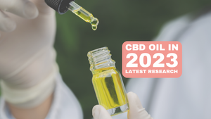 CBD Oil in 2023: The Latest Research and Future Directions