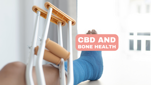 CBD und Knochengesundheit: Ein tiefer Einblick in die Heilkraft von Cannabidiol