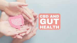 CBD and the Digestive System: A study of the impact of CBD on the digestive system, including its potential for the treatment of inflammatory bowel disease.