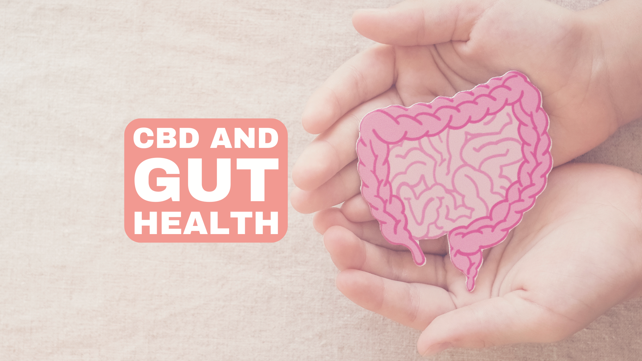CBD a zdravie čriev: Vplyv CBD na črevný mikrobióm a jeho potenciál na liečbu porúch trávenia