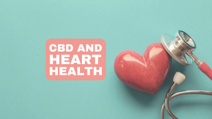 CBD and Heart Health: The Potential of Cannabidiol in Cardiovascular Therapies