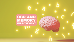 How CBD May Contribute To Improving Memory: Scientific Insights