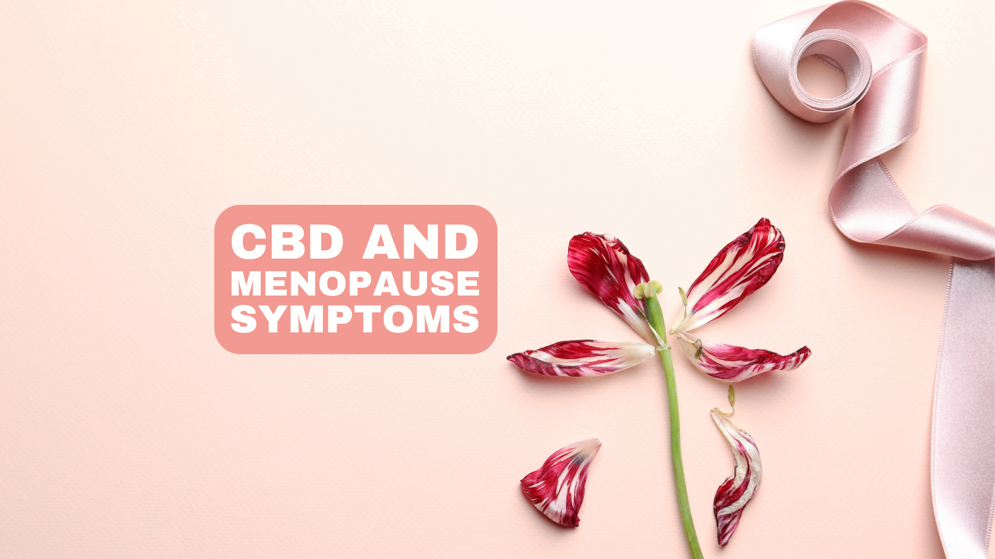 CBD and the Management of Menopause Symptoms: What Does Current Research Say?