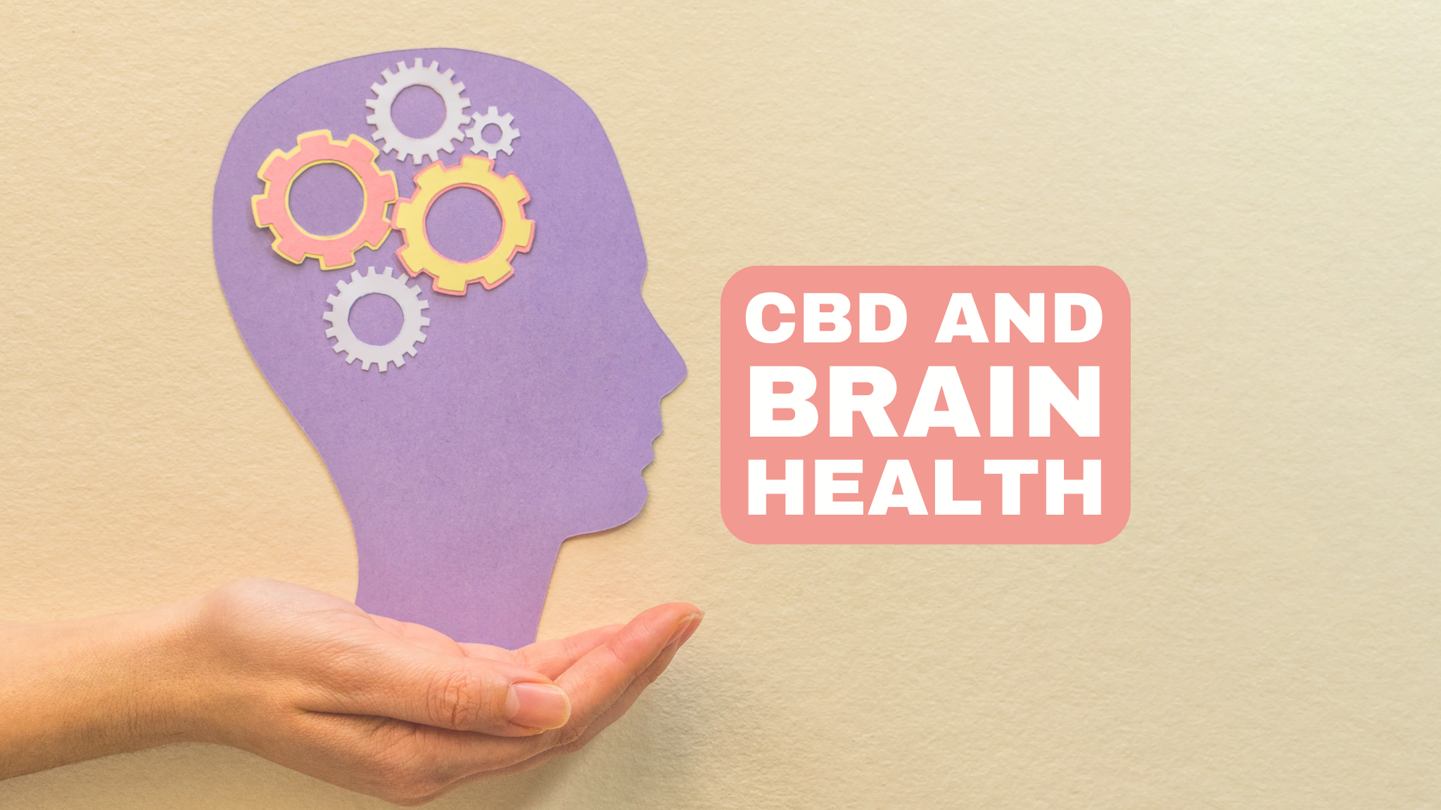 CBD and brain health: The effects of CBD on brain function, including its potential as a treatment for neurological disorders.