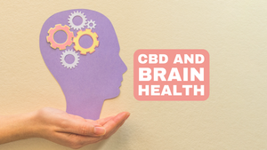 CBD and brain health: The effects of CBD on brain function, including its potential as a treatment for neurological disorders.
