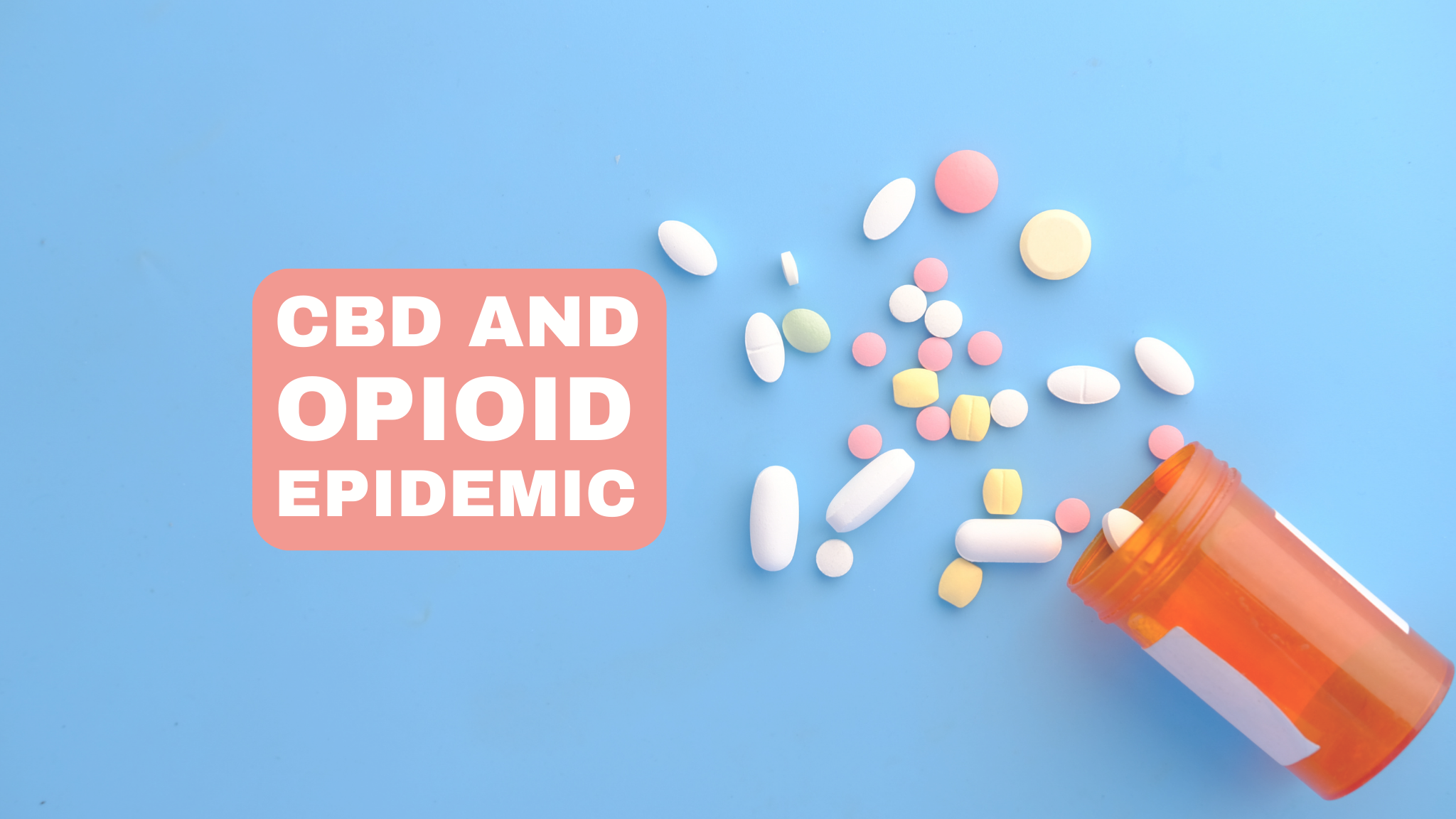 CBD and the opioid epidemic: The potential of CBD as an alternative to opioids for pain management and addiction treatment.