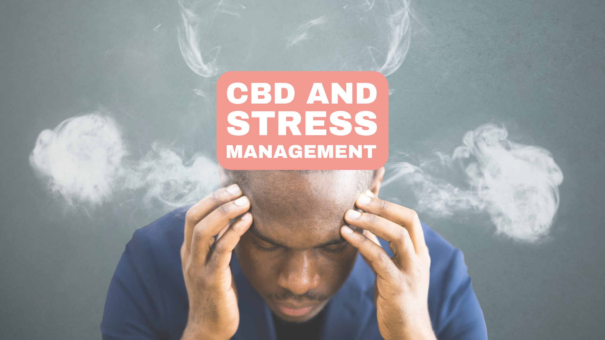 CBD for Stress Management: The Science Behind How CBD Can Help Stress and Anxiety