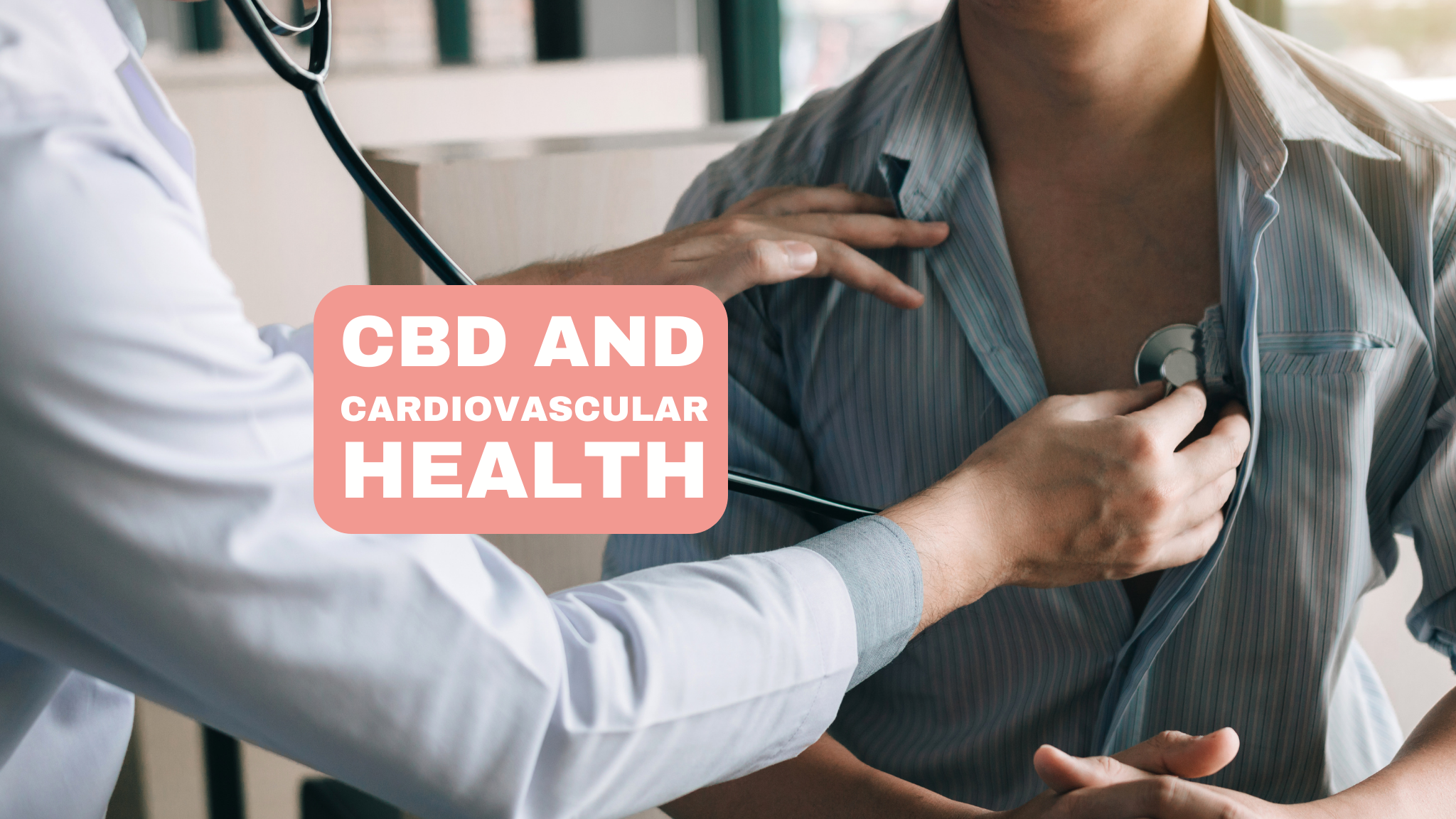 CBD and Cardiovascular Health: The Potential Benefits for Heart Health, Including its Impact on Blood Pressure and Cholesterol Levels