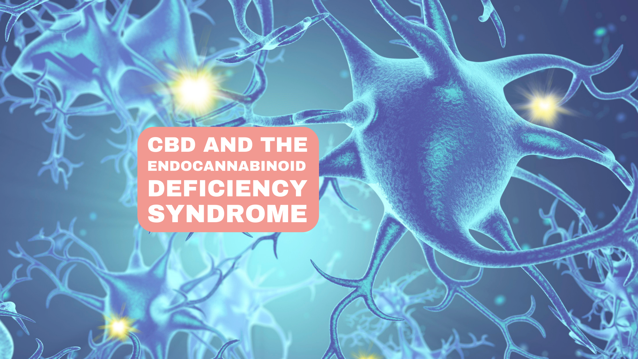 CBD and the endocannabinoid deficiency syndrome: The science behind the potential role of CBD in the treatment of endocannabinoid deficiency syndrome.