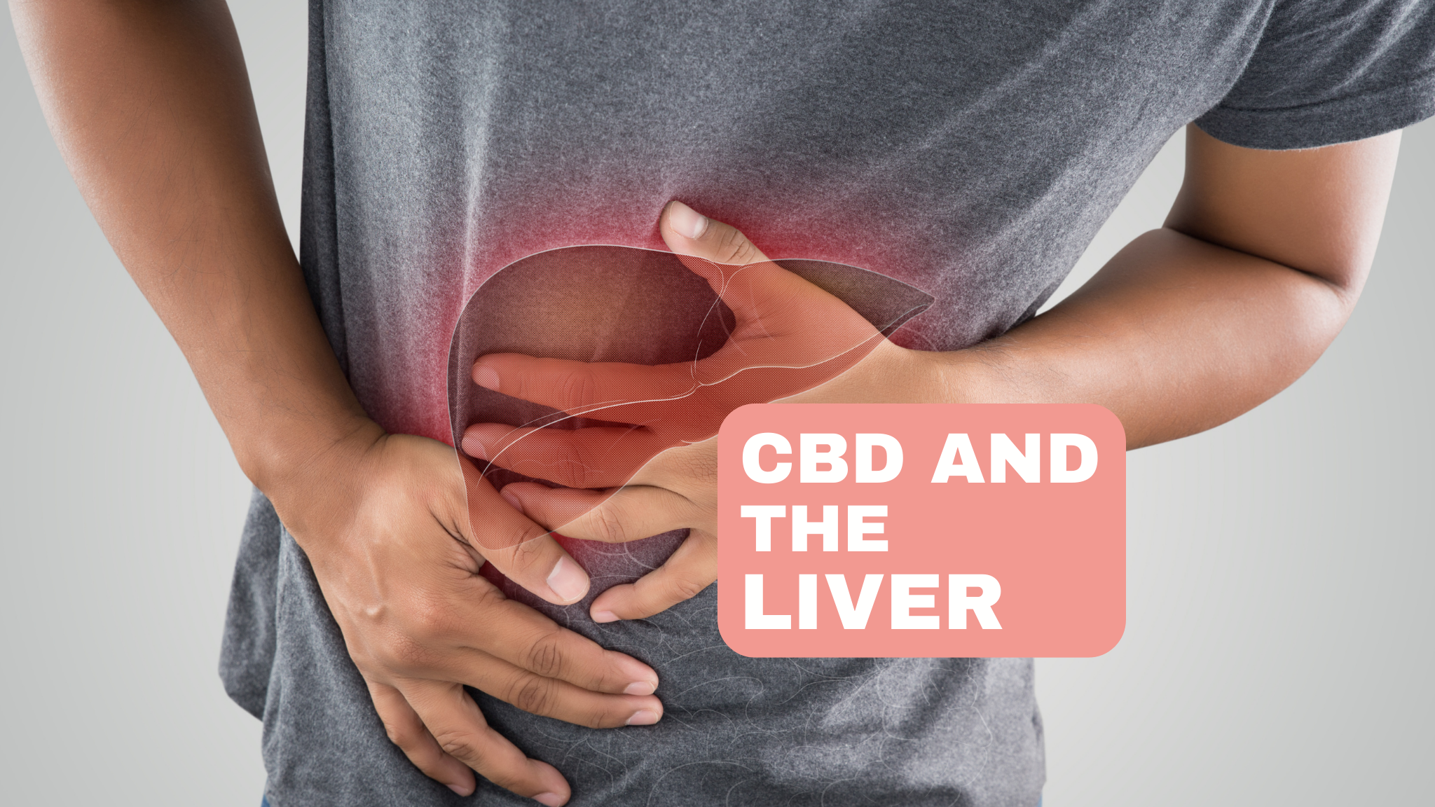 CBD and the liver: A study of the impact of CBD on liver function and possible liver-related side effects.