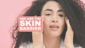 CBD and the skin barrier: The impact of CBD on the skin barrier, including its potential for treating acne and other skin conditions