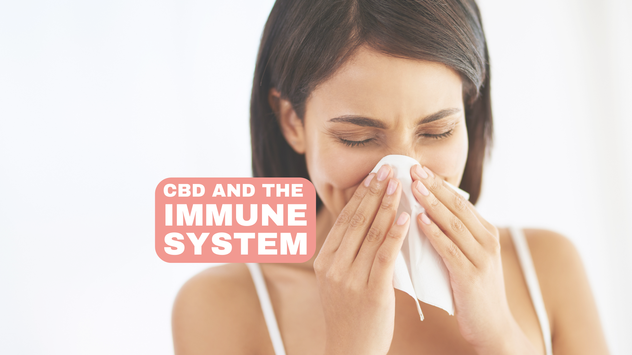 CBD und das Immunsystem: Das Potenzial von CBD als Immunmodulator und seine Auswirkungen auf die Gesundheit des Immunsystems