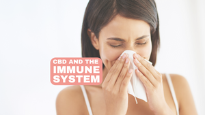 CBD a imunitný systém: Potenciál CBD ako imunomodulátora a jeho vplyv na imunitné zdravie