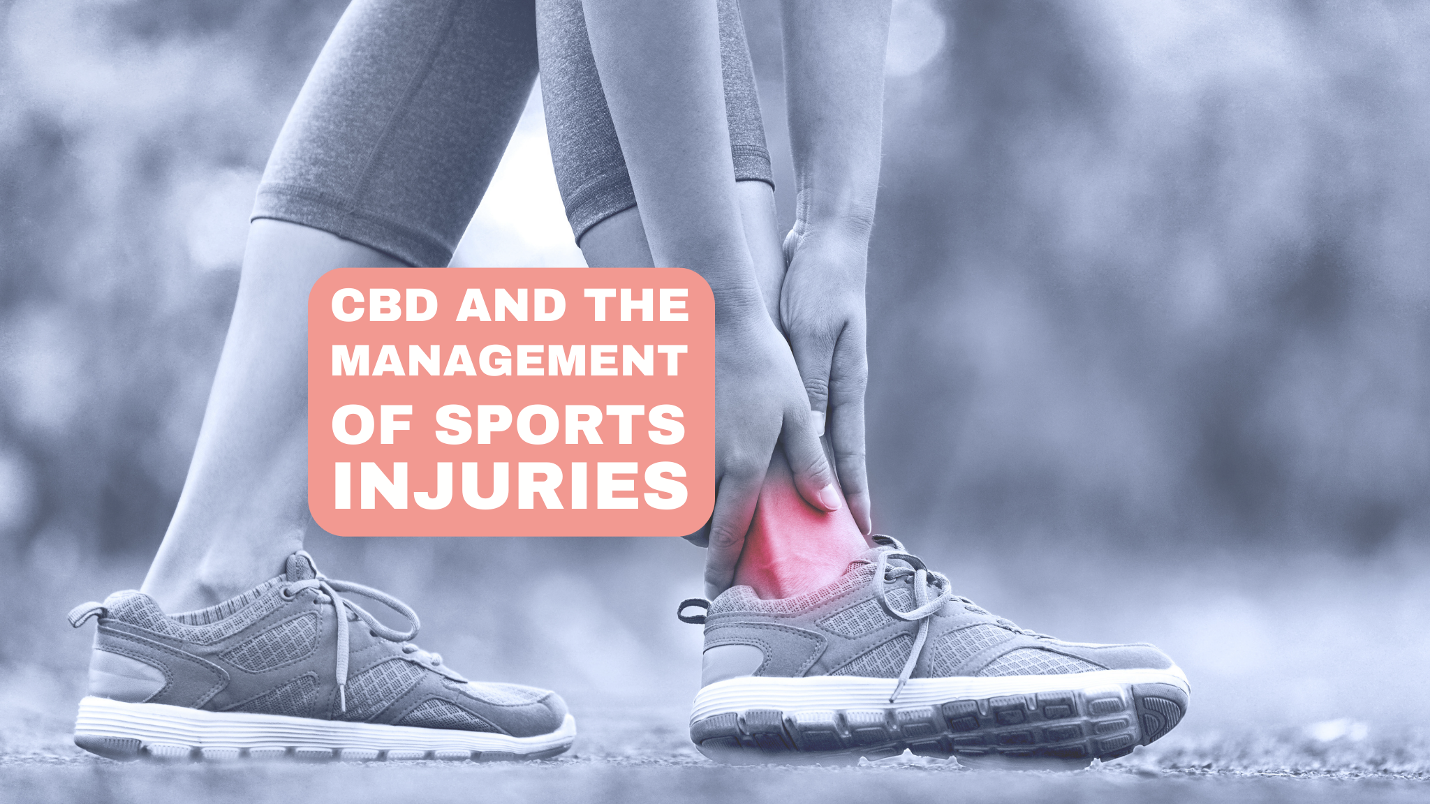 The Influence of CBD on Sports Injury Management: A Scientific Perspective